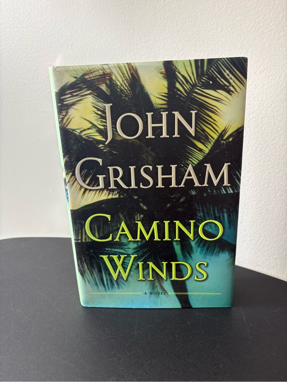 Camino Winds (Hardcover)